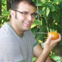 Tarik Hammad