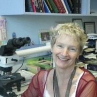 Colleen Wright