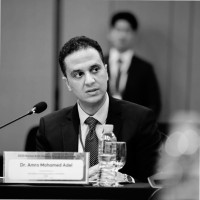 Dr Amr Adel