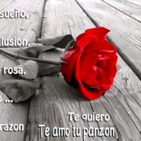 Carlos Torres