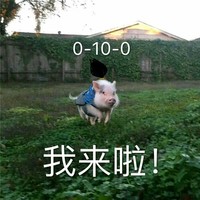 任浩波