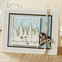 Wendy Delsasso