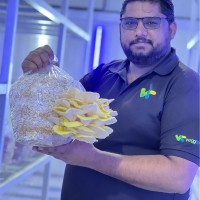 Kamran Albert