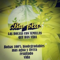 jorge alberto cuervo estrada