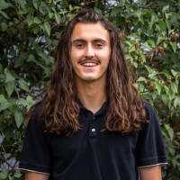 Karlton Lauer