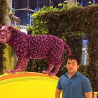 VIET QUOC DAO