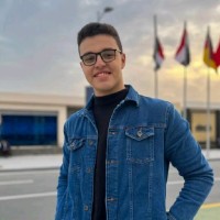 Ahmed Mohamed Kamel