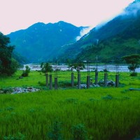 Samrat Karki