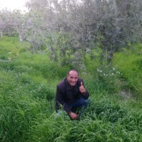 Jalel Zidi