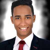Hazem Nasr