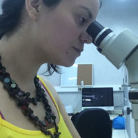 Javiera De la Paz Montt