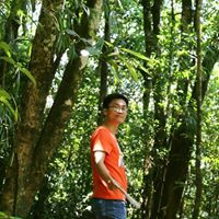Nguyễn Đăng