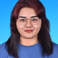 Nur Dini