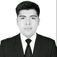 Jesus Del Angel Flores