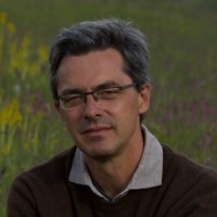 Andrea Dominici