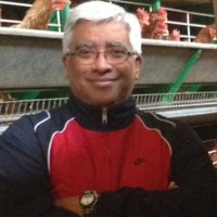 Luis Alzamora Velarde