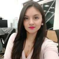 Karen Julieth Bolaños Pérez