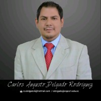 Carlos Augusto Delgado Rodríguez
