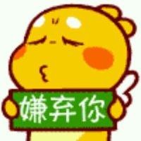 刘嘉龙