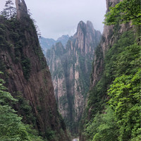 Ye Xia