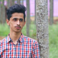 Nitin V