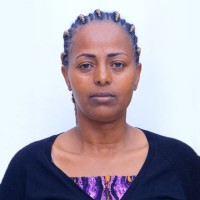 Meaza Demissie