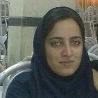eli shams