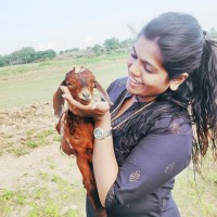 Bhanu Gowda