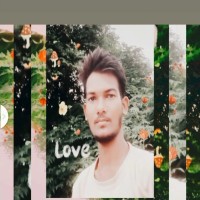 Sachi S