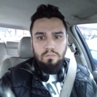 Christian American Horse