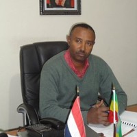 Girma Tsige
