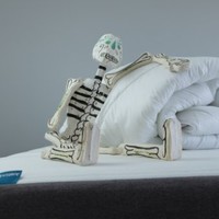 Hascibe Samson-Ninomiya