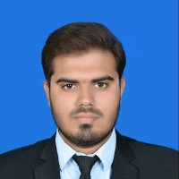 Malik Hamza Mehmood
