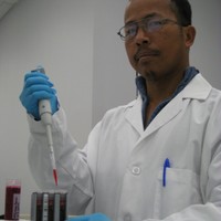 Sira Chau