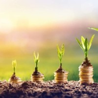 Business Growth Specialist ~ Whizz