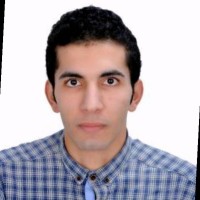 Ayman Ashraf Hashem
