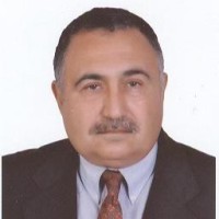 Mohamed Farouk