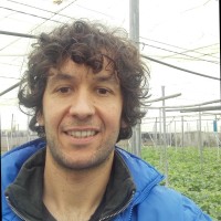 Roberto Huertas Vílchez
