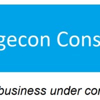 ingecon consulting
