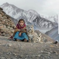 SHUBHAM Y