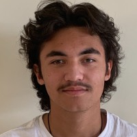 Nicholas Calitri