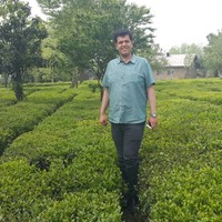 reza hojati