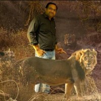 Mitesh Shah