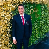 Mohamed Aboelhassan