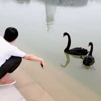 梅家林