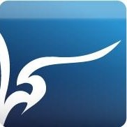 Blue Ornate Design Studio