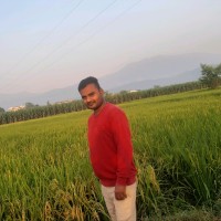 Ankit Rana