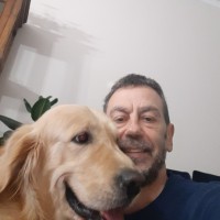Stefano Ercoli