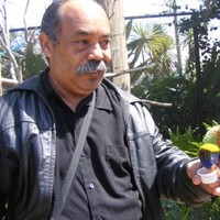 marcelino opio