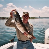 John Tierney
